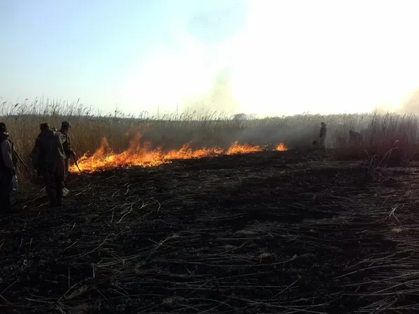 На Волині за минулу добу погасили 20 пожеж (фото)