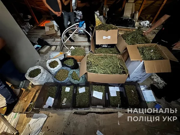 Смаколики для наркоманів: на Волині подружжя торгувало печивом з канабісом (фото, відео)