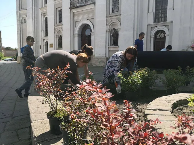 Стару частину Луцька озеленили (фото)