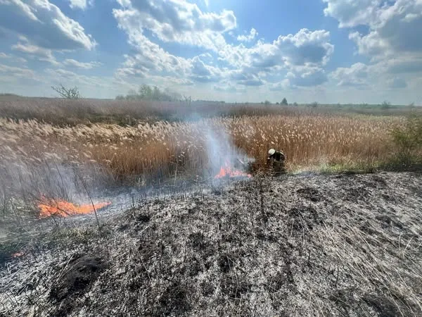 Горіло 8 гектарів поля: у Ковелі загасили масштабну пожежу (фото)