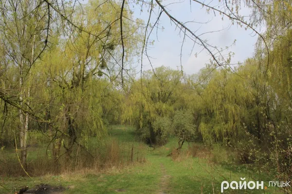 Ботанічний сад на Волині може стати ще кращим