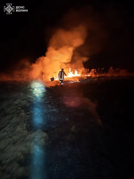 За добу на Волині вигоріло майже 6 гектарів сухої рослинності (фото)