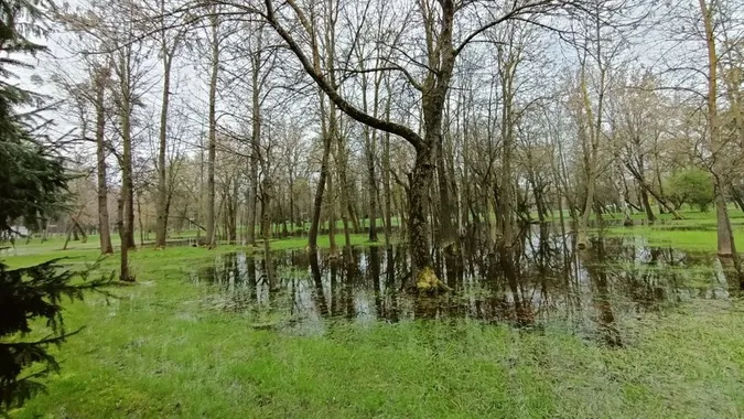 У Луцьку затопило чверть території центрального парку (відео)