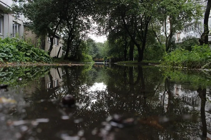 Підтоплені двори і опале листя: наслідки грози у Луцьку (фото)