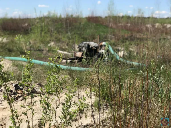 Бурштиновий промисел на карантині: що відбувається на поліських клондайках (фото, відео)