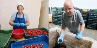 «Досвід має значення»: як на Волині працевлаштовують 50-річних робітників