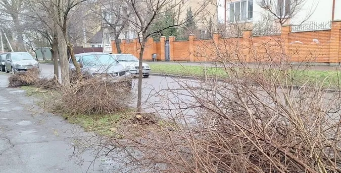 Комунальники «забули» купи гілля у центрі Луцька (фото)