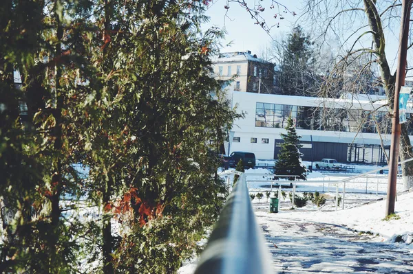 Зимовий «CityPark»: експозиція, місток та голуби (фото)