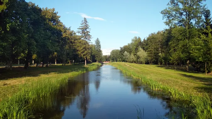 Луцькі парки і сквери хочуть обробити від кліщів