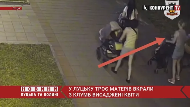 Вирвали з корінням: у Луцьку три матері поцупили квіти з Центрального парку (відео)