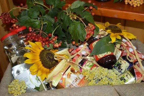 Чим можуть похвалитися лісогосподарські підприємства Волині