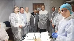 Аналіз у живої і розтин мертвої: на Волині готувалися до боротьби з грипом птиці (фото)