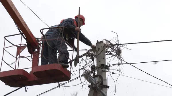 На Волині встановлюють нові конструкції штучних гнізд для лелек