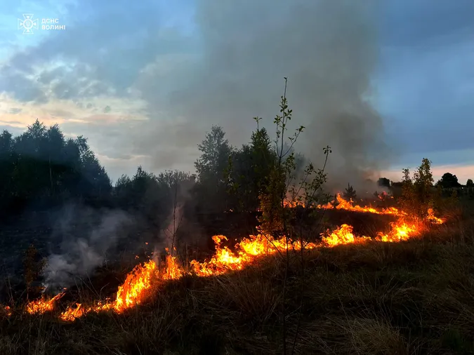 Необережні волиняни спричинили дві пожежі в екосистемах (фото)