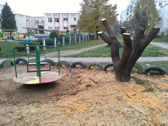 «Дядько з пилкою» та ОСББ: Осіюк сказав, хто нівечить дерева у Луцьку