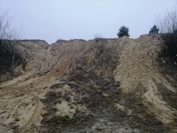 Міськрада на Волині завдала збитків екології на 244 мільйони гривень (фото)