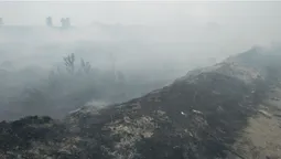 На Волині двоє пенсіонерів виявилися паліями сухої трави (фото)