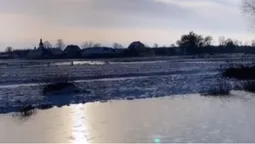 У селі на Волині водойма вкрилася незвичними малюнками