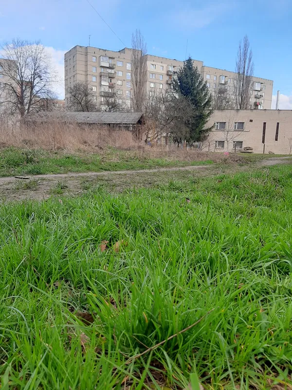 Не моє сміття, але моя планета: луцька школярка започаткувала корисний челендж (фото)