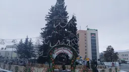 Луцьк новорічний: у скільки обійшлися прикрашені ялинки (фото)