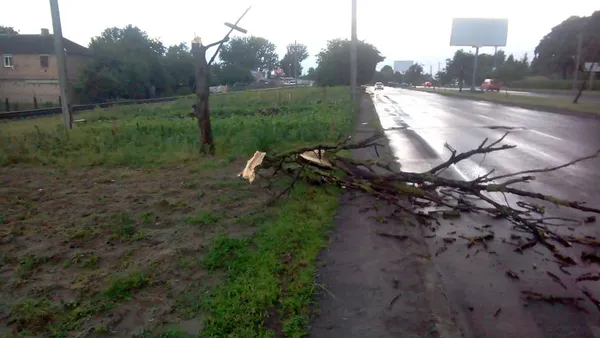 Що наробила негода в Луцьку (фото, відео)