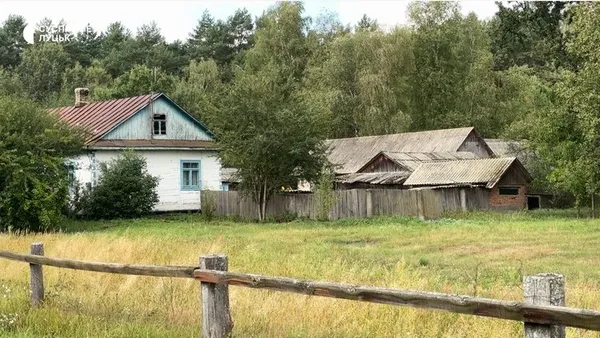 Ліс, Стир і 400-річний дуб: як живе село Куликовичі на Волині (фото, відео)