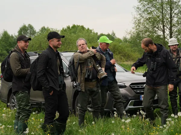 Битва за волинські болота: як рятують найрідкіснішого співочого птаха Європи (фото)