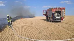 Пожежі охопили кілька громад Волині: вогонь дістався торфовища (фото)