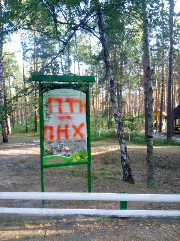 Патріотизм чи вандалізм: у рекреаційному пункті на Волині залишили нецензурні написи про путіна (фото)