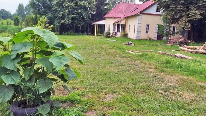 У Луцьку облаштовують другий міський город (відео)