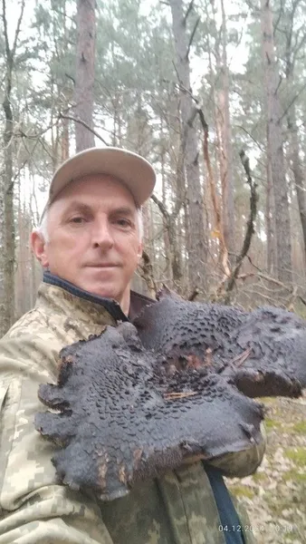 У лісі на Волині знайшли велетенський гриб (фото)