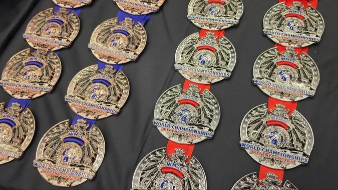 Волинська команда здобула 39 медалей на чемпіонаті світу з козацького двобою в Австрії (фото)