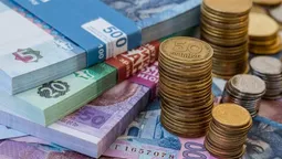 Скільки Волинська митниця заробляє за день