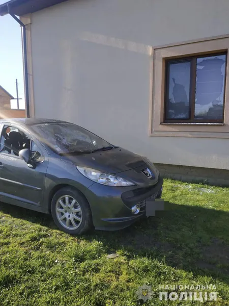 У Боголюбах затримали п'яного дебошира з пістолетом (фото)
