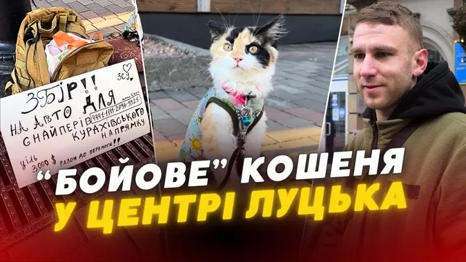 «Заборонений прийом»: у центрі Луцька воїн разом з кошеням збирають на авто (відео)