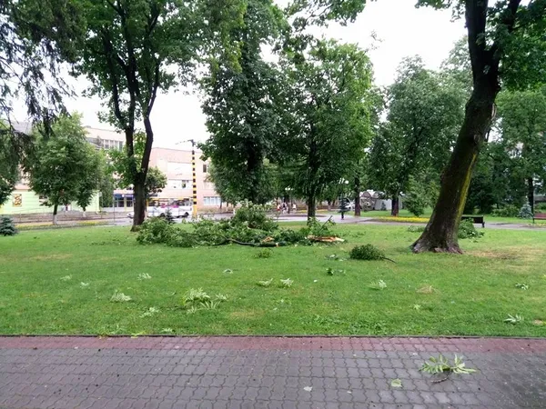 Як Луцьком пронеслася злива (фото, відео)