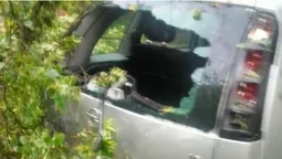 У Луцьку в Старому місті дерево впало на припарковане авто (фото)