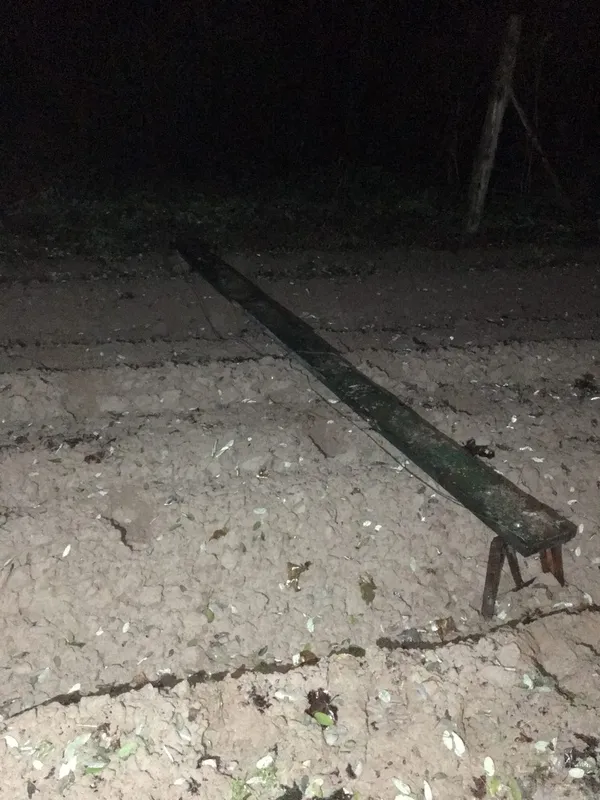 На Волині затримали неповнолітніх контрабандистів (фото)