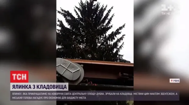 На Рівненщині головну ялинку привезли з цвинтаря, мер заспокоїв – дерево освятили