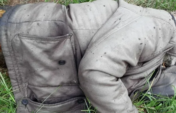 У Луцькому районі знайшли два трупи: просять опізнати померлих (фото, відео 18+)