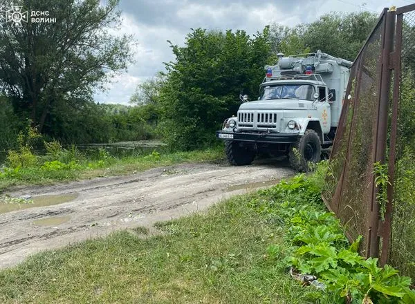 Блокувало течію: на Волині з річки дістали повалене дерево (фото)