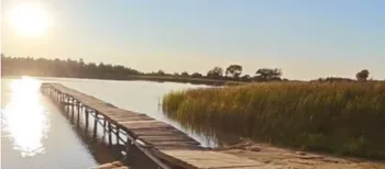 Глибоке, але чисте і прозоре: на Волині є озеро у формі людського органа, в якому добре клює риба (фото, відео)
