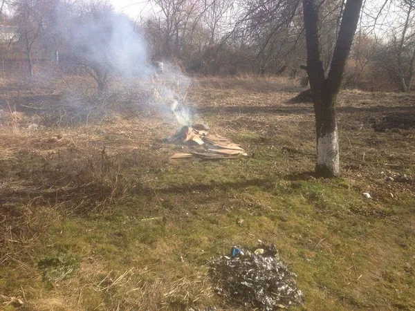 Лучан штрафують за спалювання сухого гілля (фото)