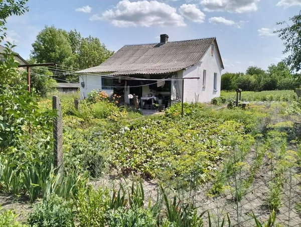 14 соток городу, корова Кнопка і двоє синів на війні: історія родини з Волині (фото)