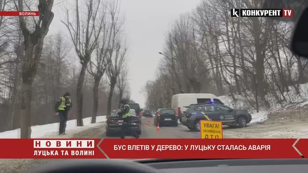 У Луцьку зіткнулися «фольксваген» та «рено» – бус влетів у дерево (відео)