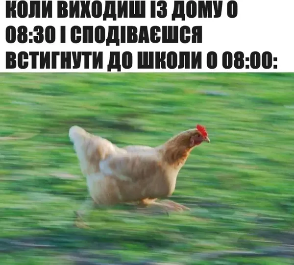 «А голову ти вдома не забув?»: добірка жартів та мемів про школу