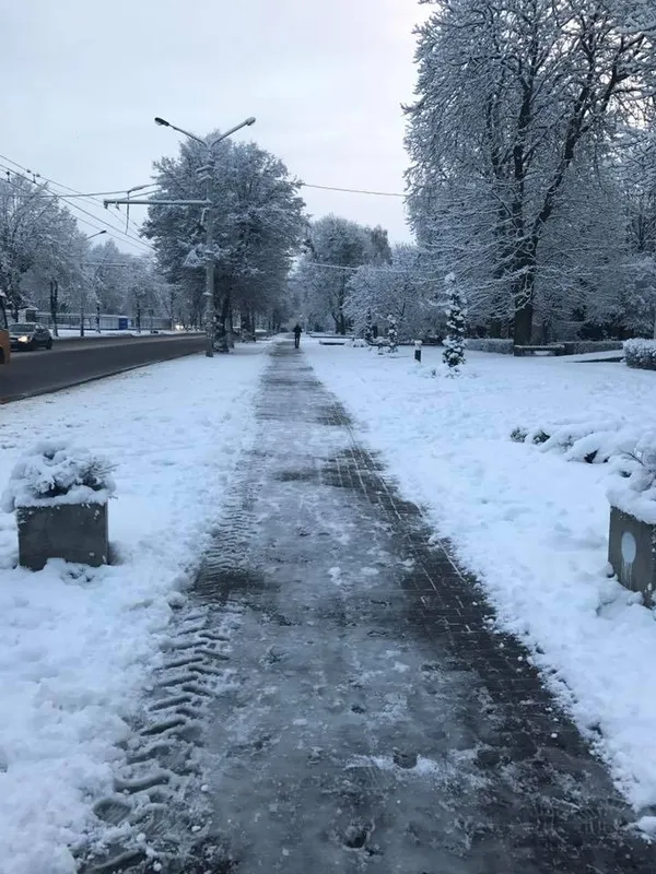 У Луцьку залучили більшу частину снігоприбиральної техніки (фото)