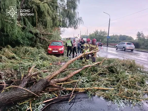Після буревію у Луцьку рятувальники прибирали дерева з доріг і дворів (фото)
