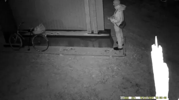 На Волині шукають чоловіка, який викрав підсвітку в лісництві (фото, відео)