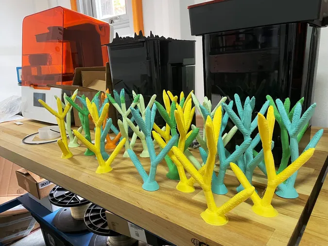 У Пуерто-Рико друкують корали на 3D-принтерах – рятують рифи